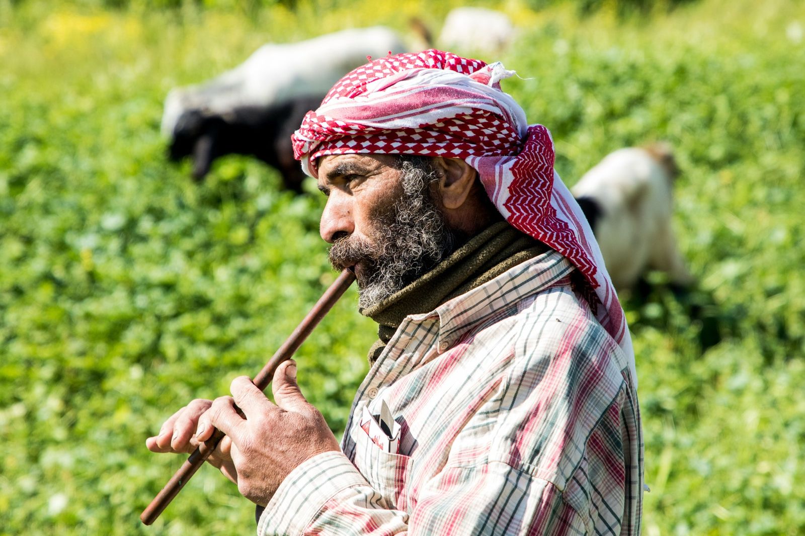 Jordan Valley Activists