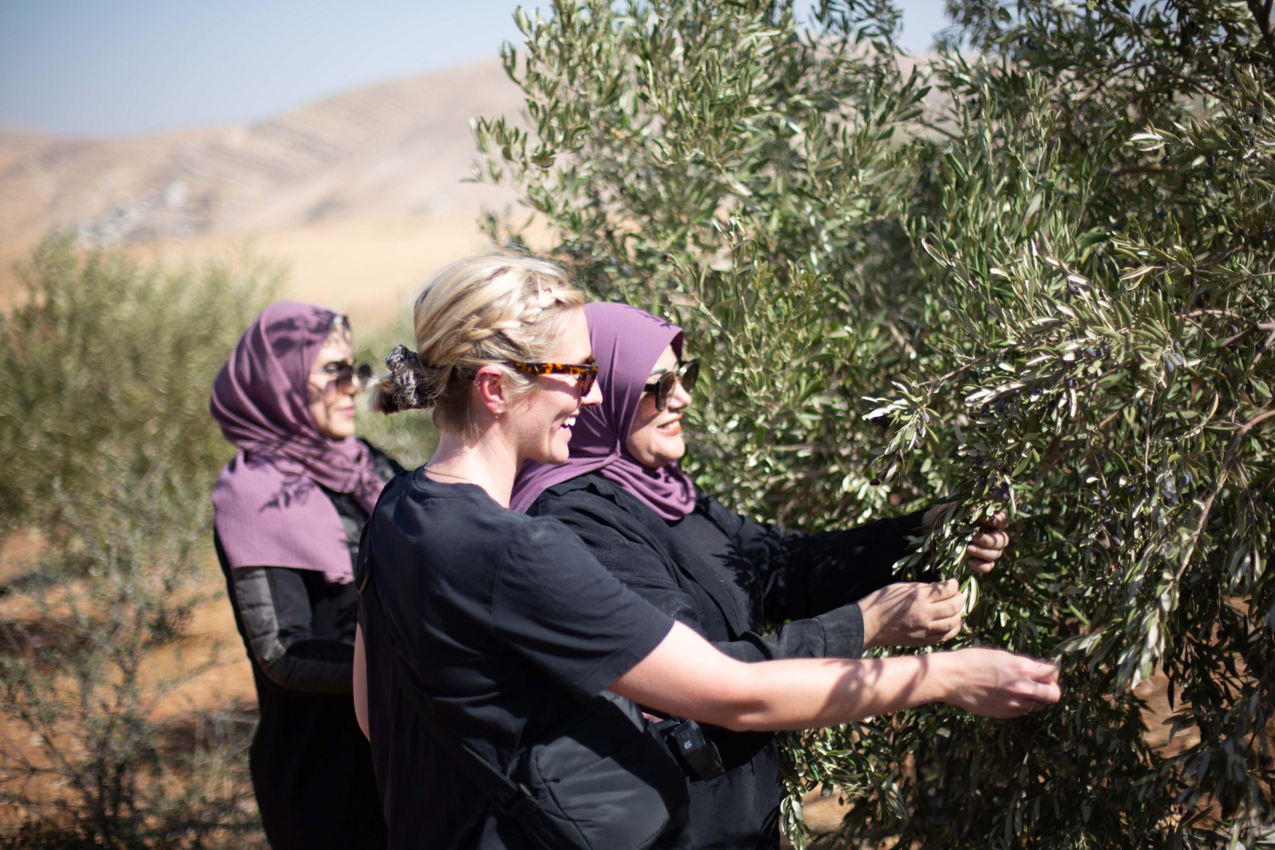 Rabbis for Human Rights